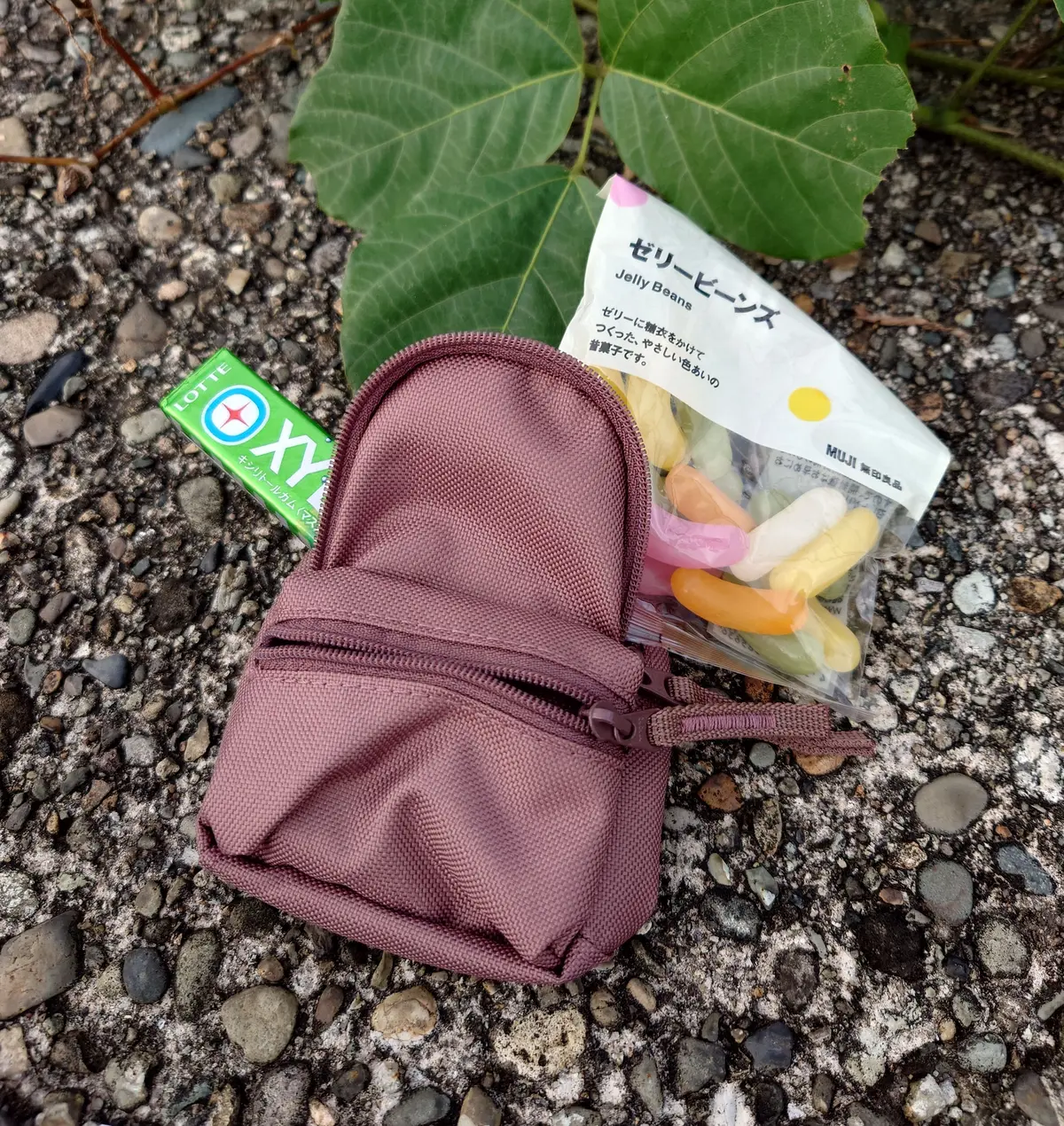 無印良品ミニリュックにゼリービーンズとガム