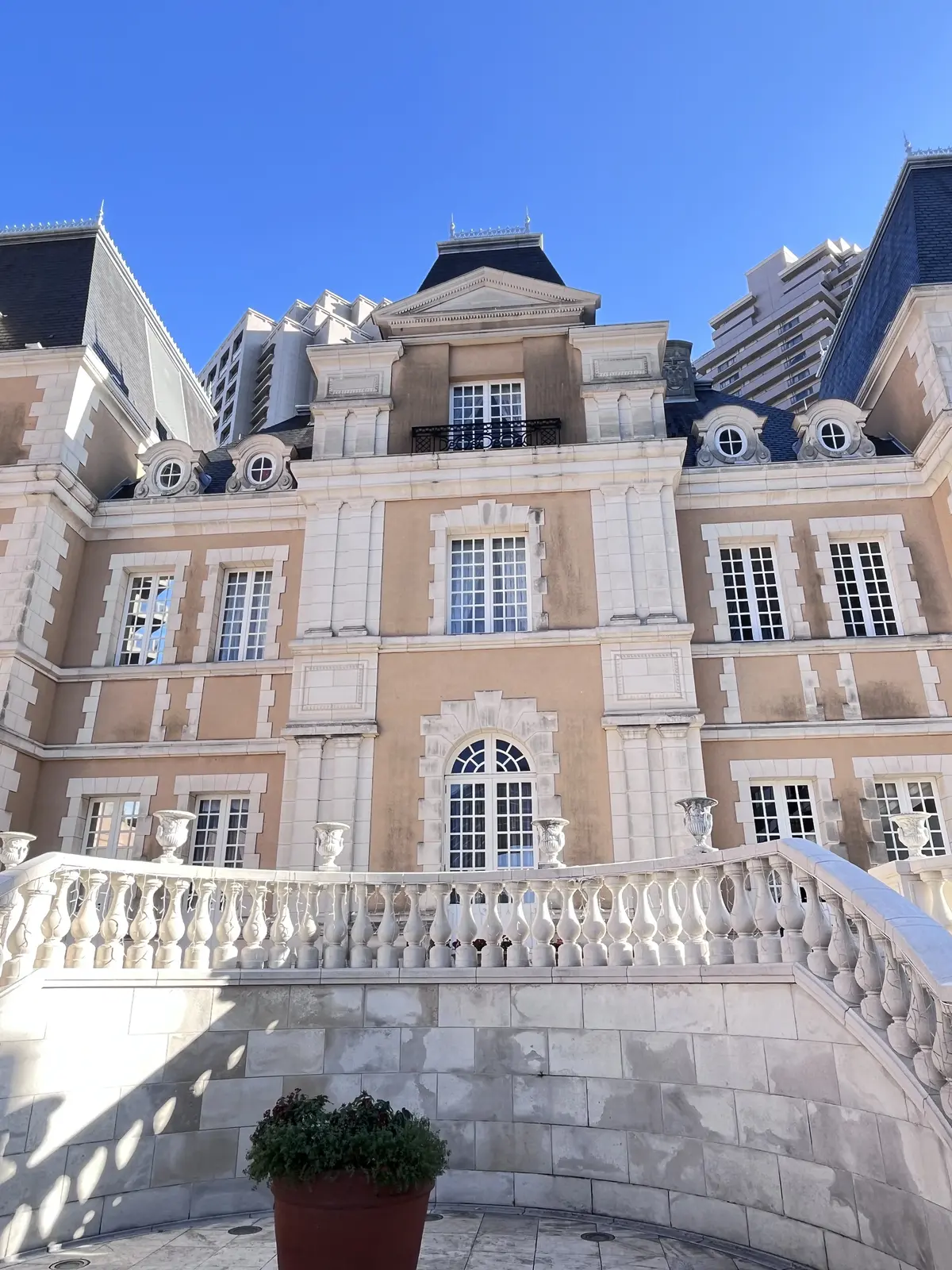 恵比寿でキラキラツリー観賞・夜はLiveの画像_2