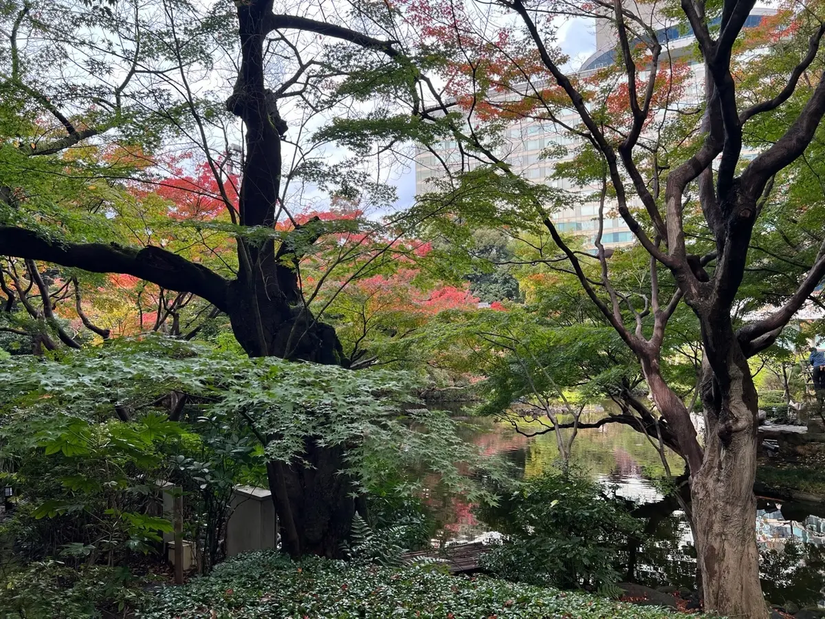 秋の美しい庭園で愉しむ鉄板焼き@石心亭の画像_4