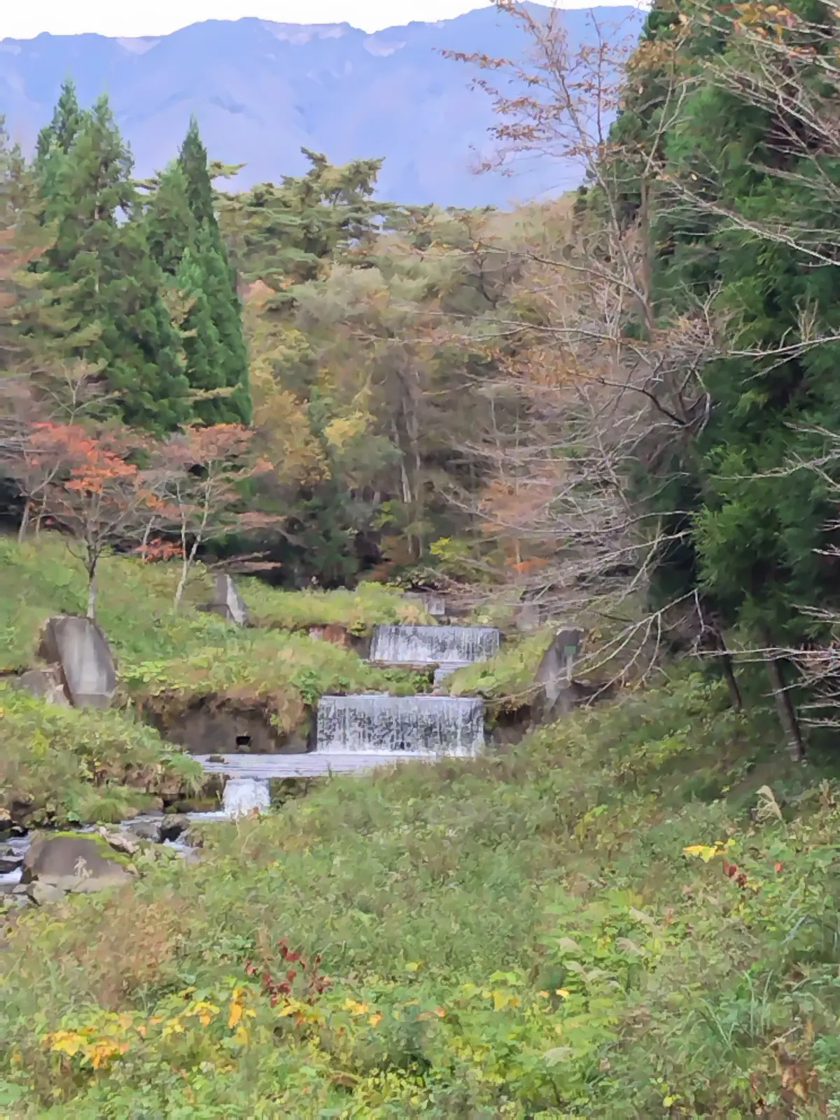 短い秋を、駆け足で満喫中🎵の画像_8