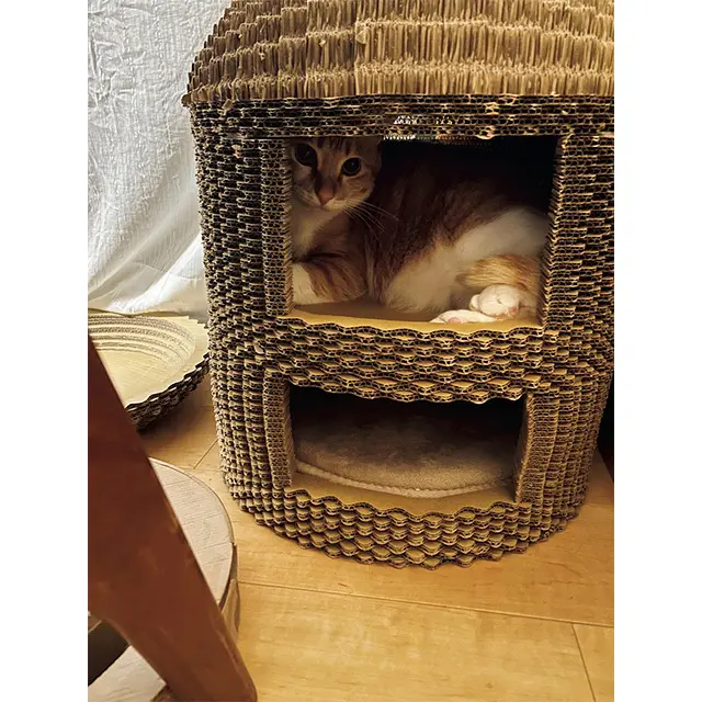 necoieの爪研ぎ用の段ボール製猫ちぐ らを愛用中。上の階にぎっしり詰まる姿も かわいい