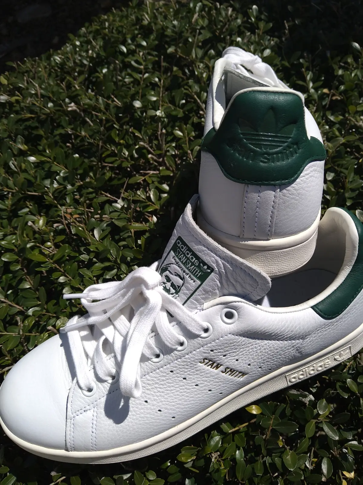 すっかり雪が解けたから、スニーカーで足取の画像_5