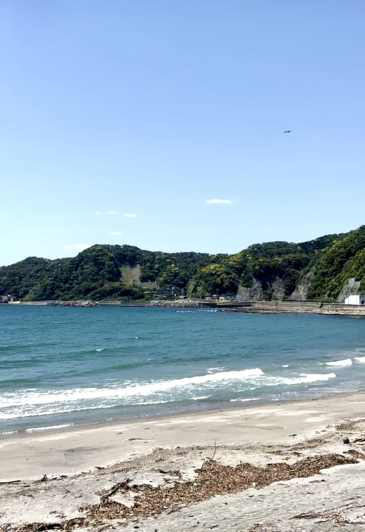 気軽におしゃれが楽しめるUNIQLOワンの画像_11