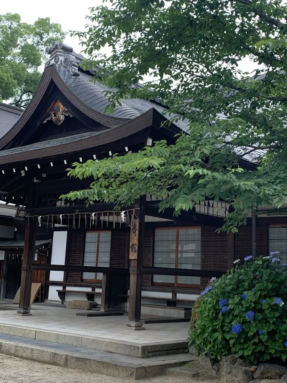 艶やかな紫陽花に癒されて。の画像_4