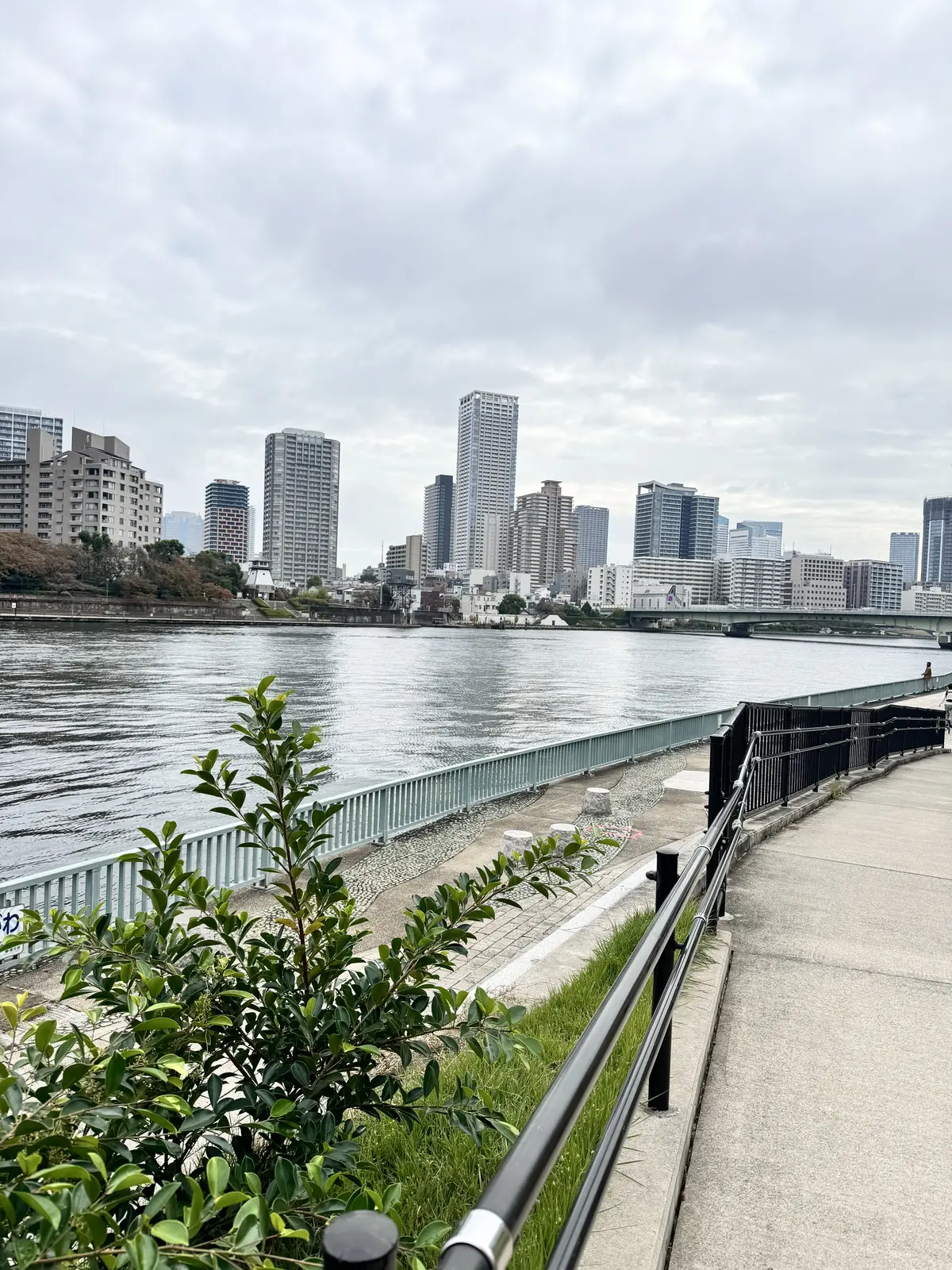 ＼華組初投稿／応募写真ファッションとオーの画像_3