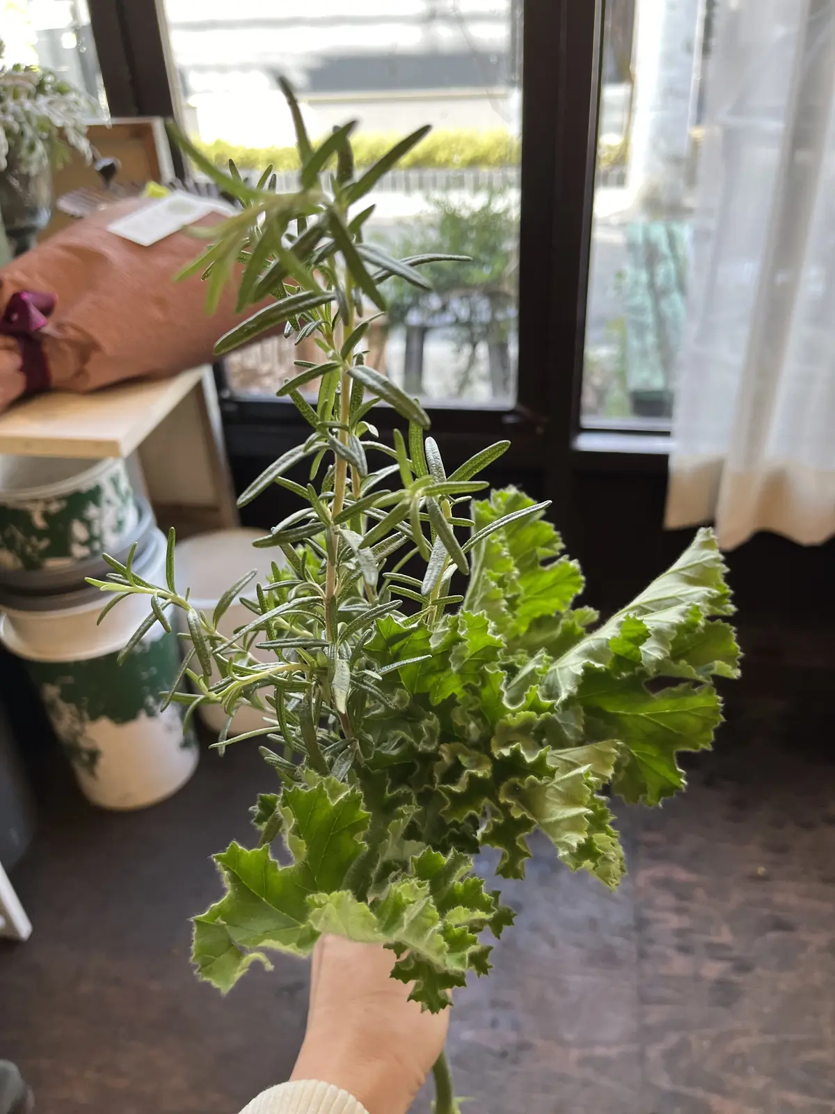 ハッとするようブーケをの画像_5