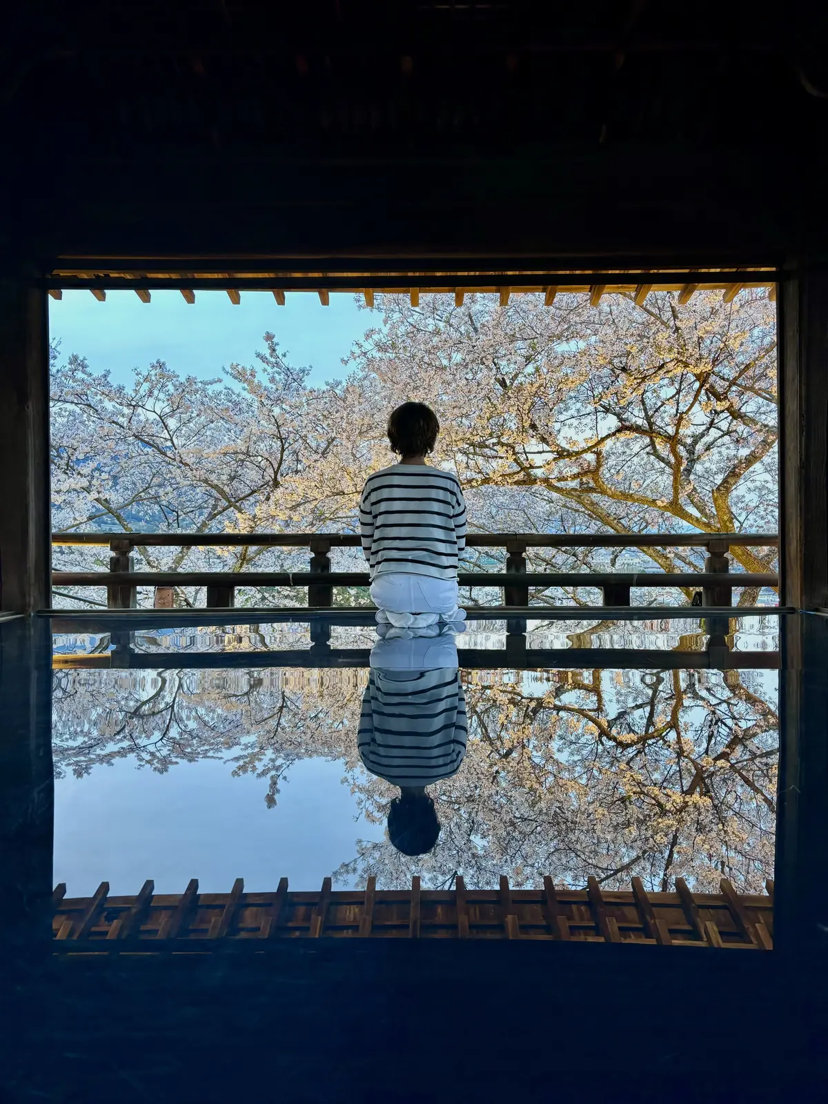 滋賀県　三井寺