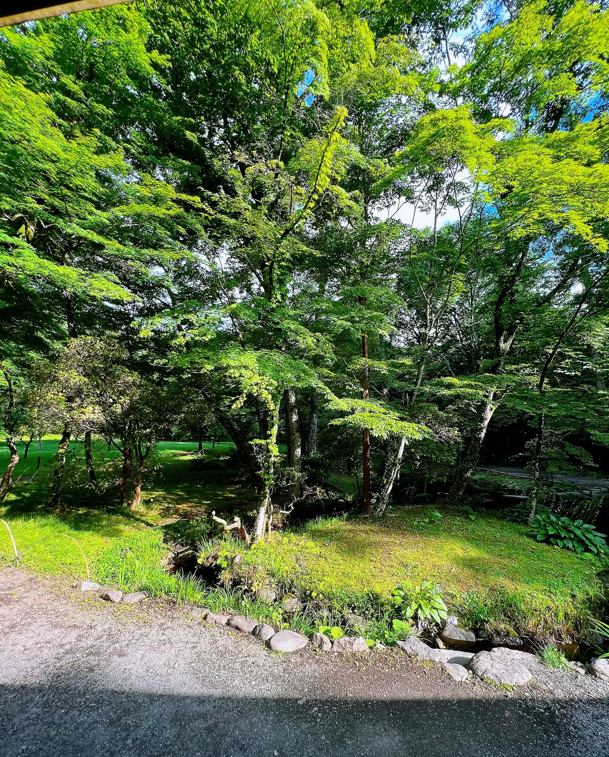 週末旅行観光スポット②の画像_16