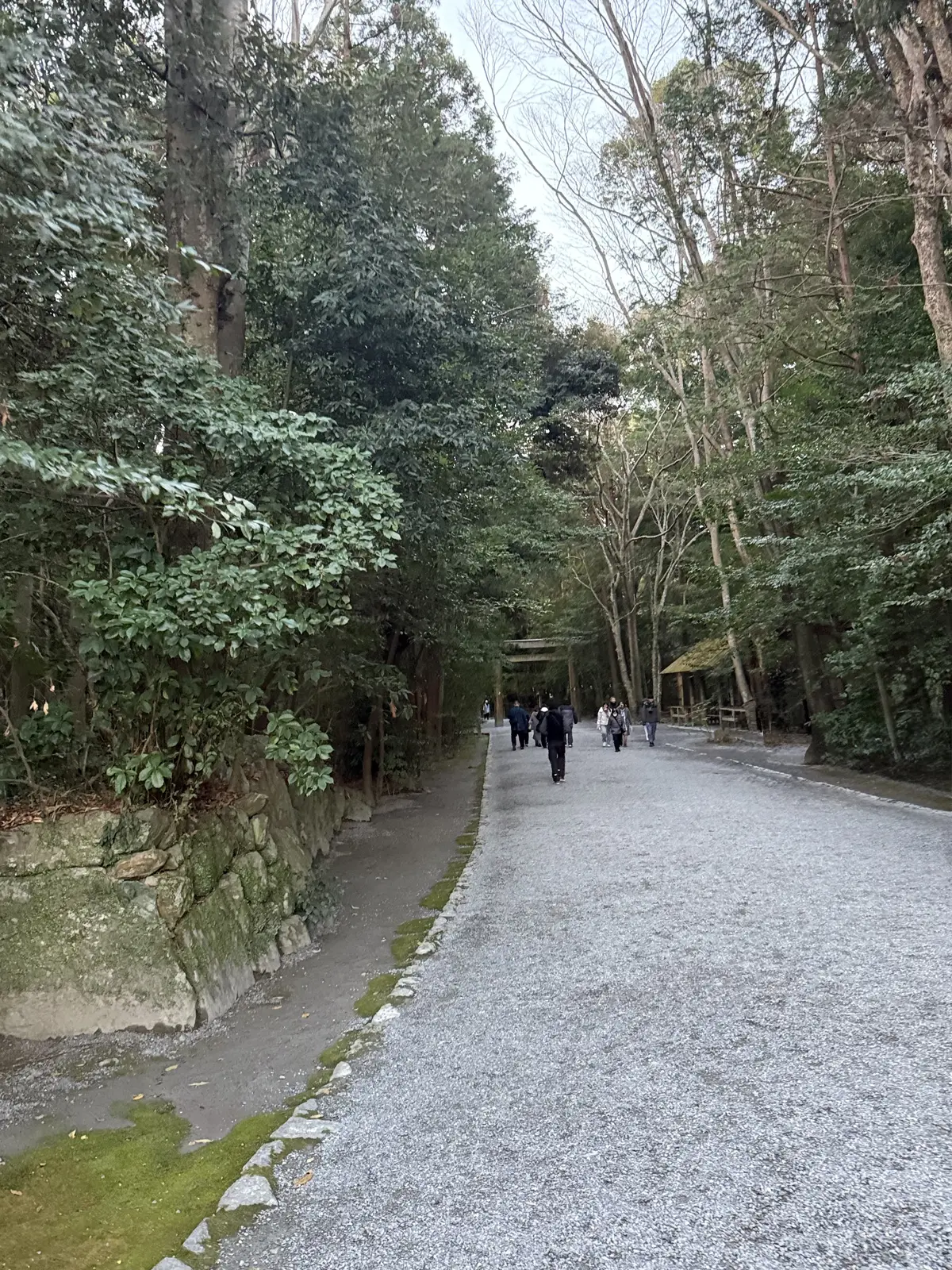 午年のはじまりは、神馬の伊勢神宮へ早朝参の画像_2