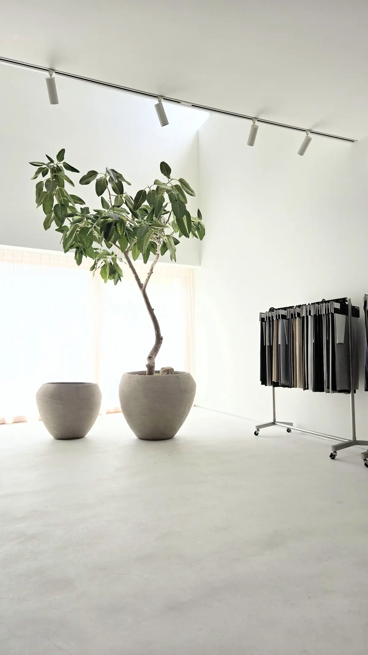 🍊だけじゃない和歌山！＼一流メゾンも愛すの画像_4