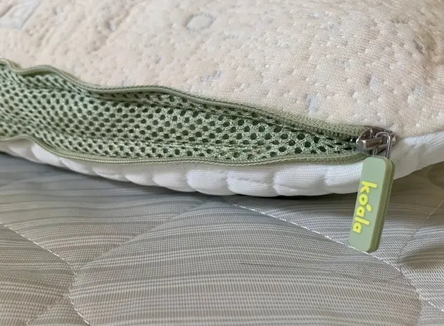 10月25日はコアラの日♡の画像_3