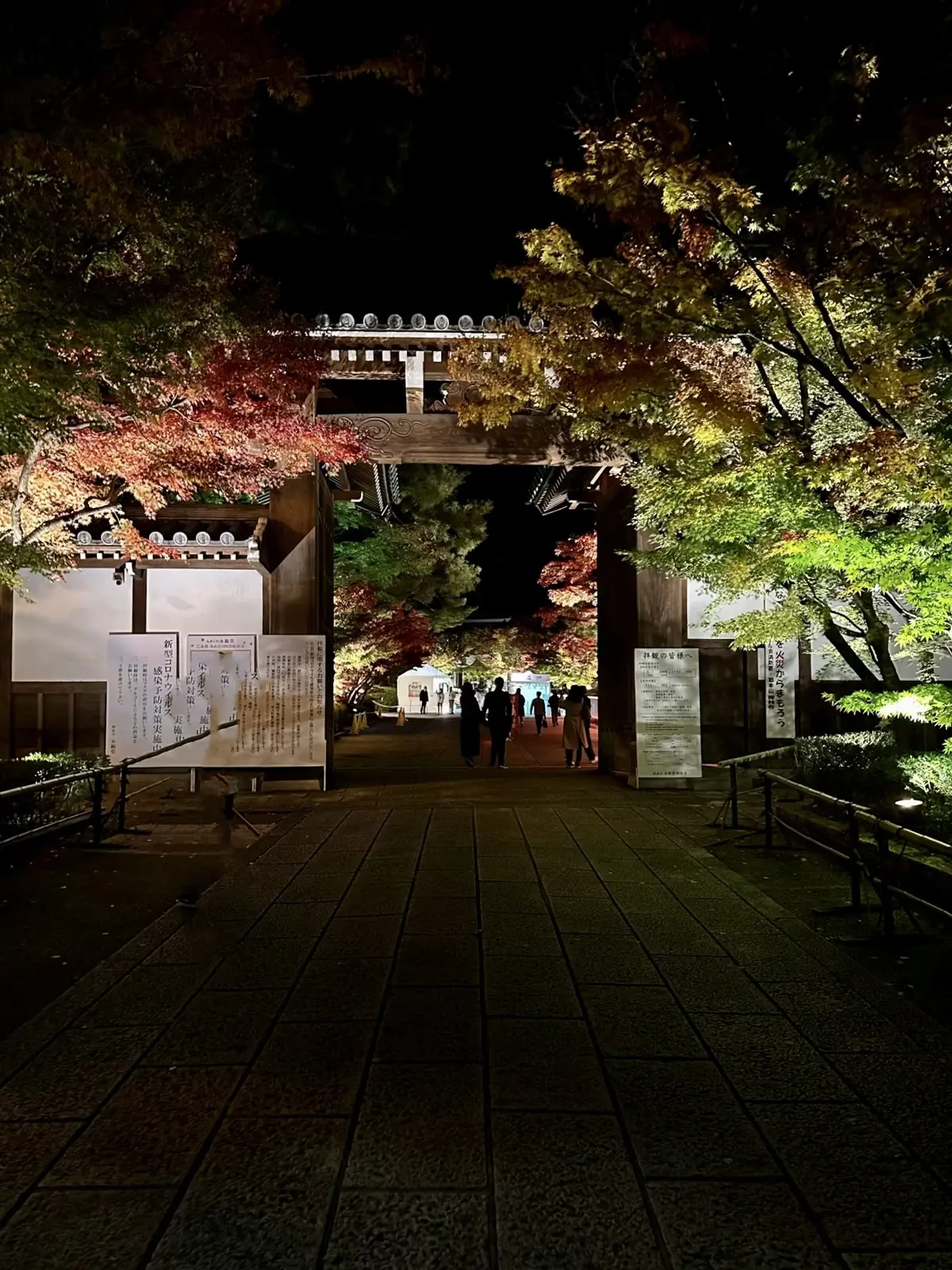 京都「永観堂」のライトアップされた夜の紅葉
