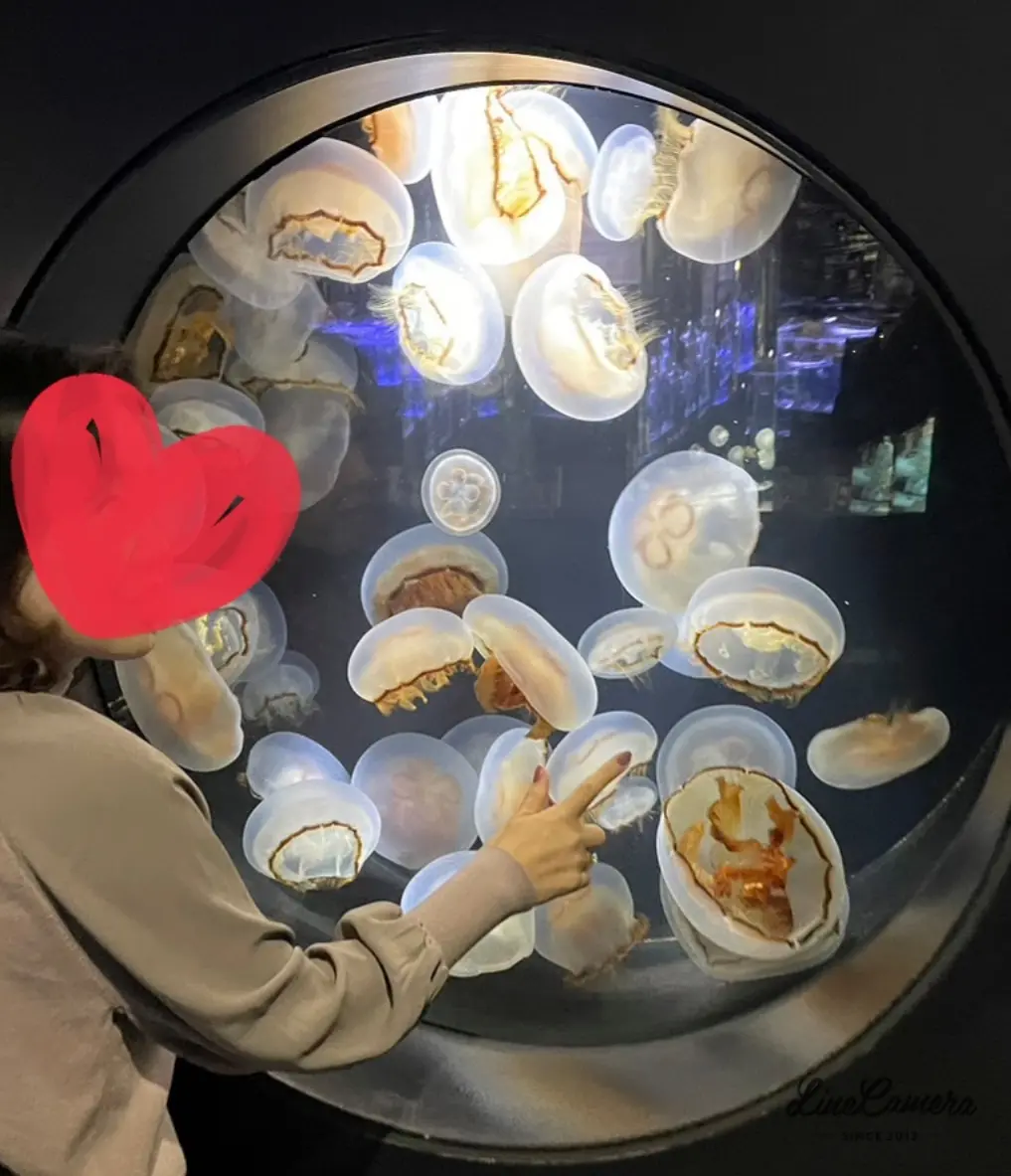 山形満喫日記🖊の画像_4