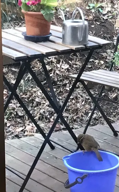 ◯我が家の冬の風景◯の画像_7