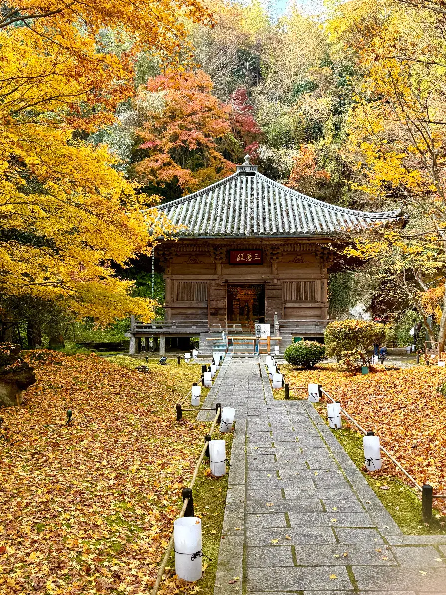 宮城県松島　円通院　伊達光宗　境内　紅葉　瞑想の庭　　国指定重要文化財「三慧殿」