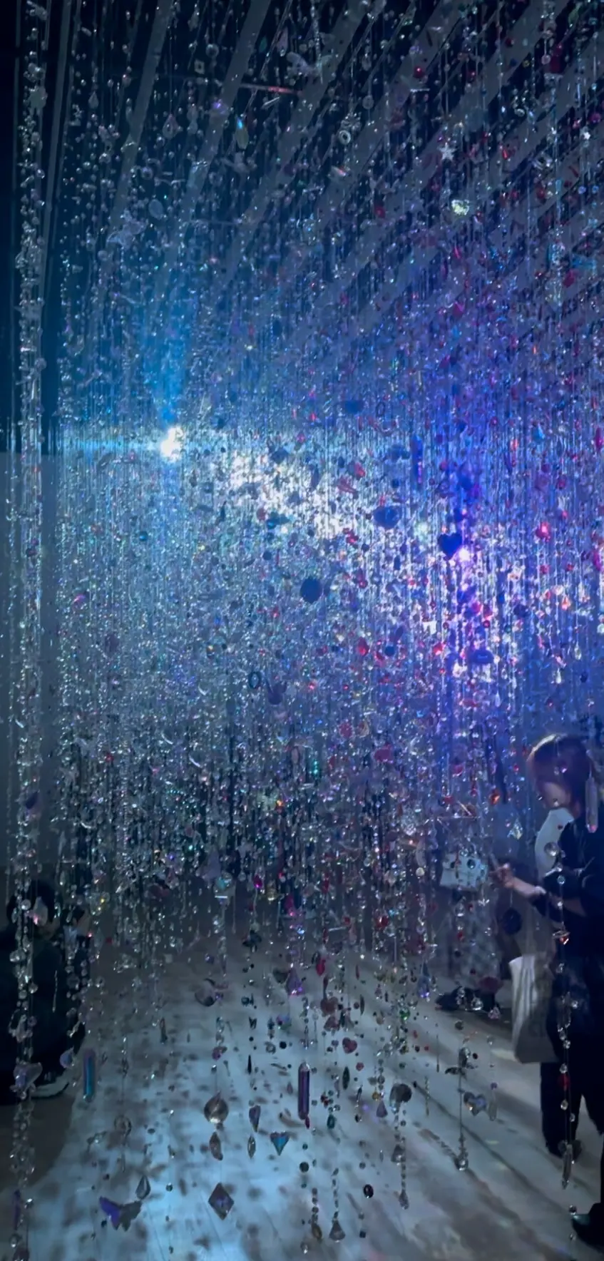 「蜷川実花展 with EiM：彼岸の光の画像_5