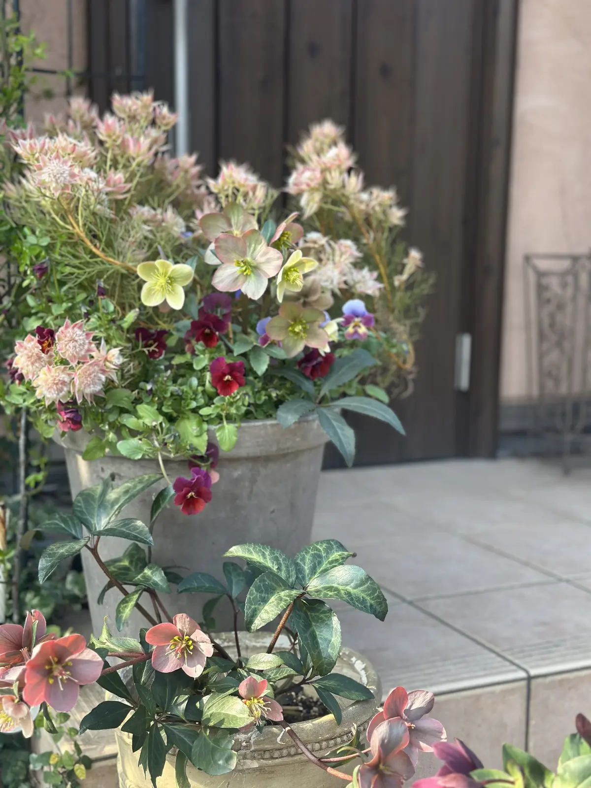 春分あけ、春の陽気に包まれて・・・の画像_1