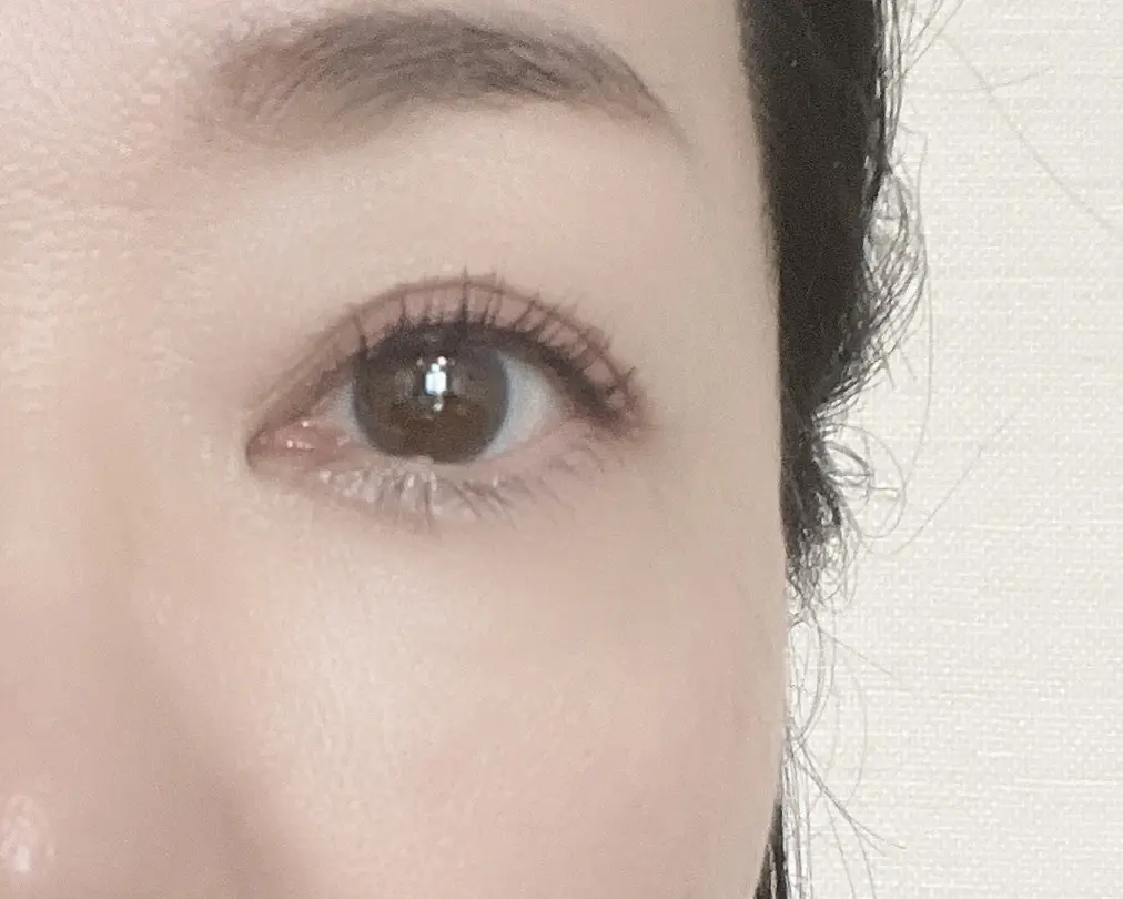 イプノ ドールアイ ウォータープルーフ N　仕上がり