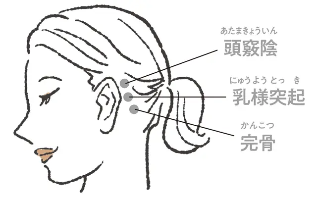 耳の後ろの3つのツボ押しで代謝改善