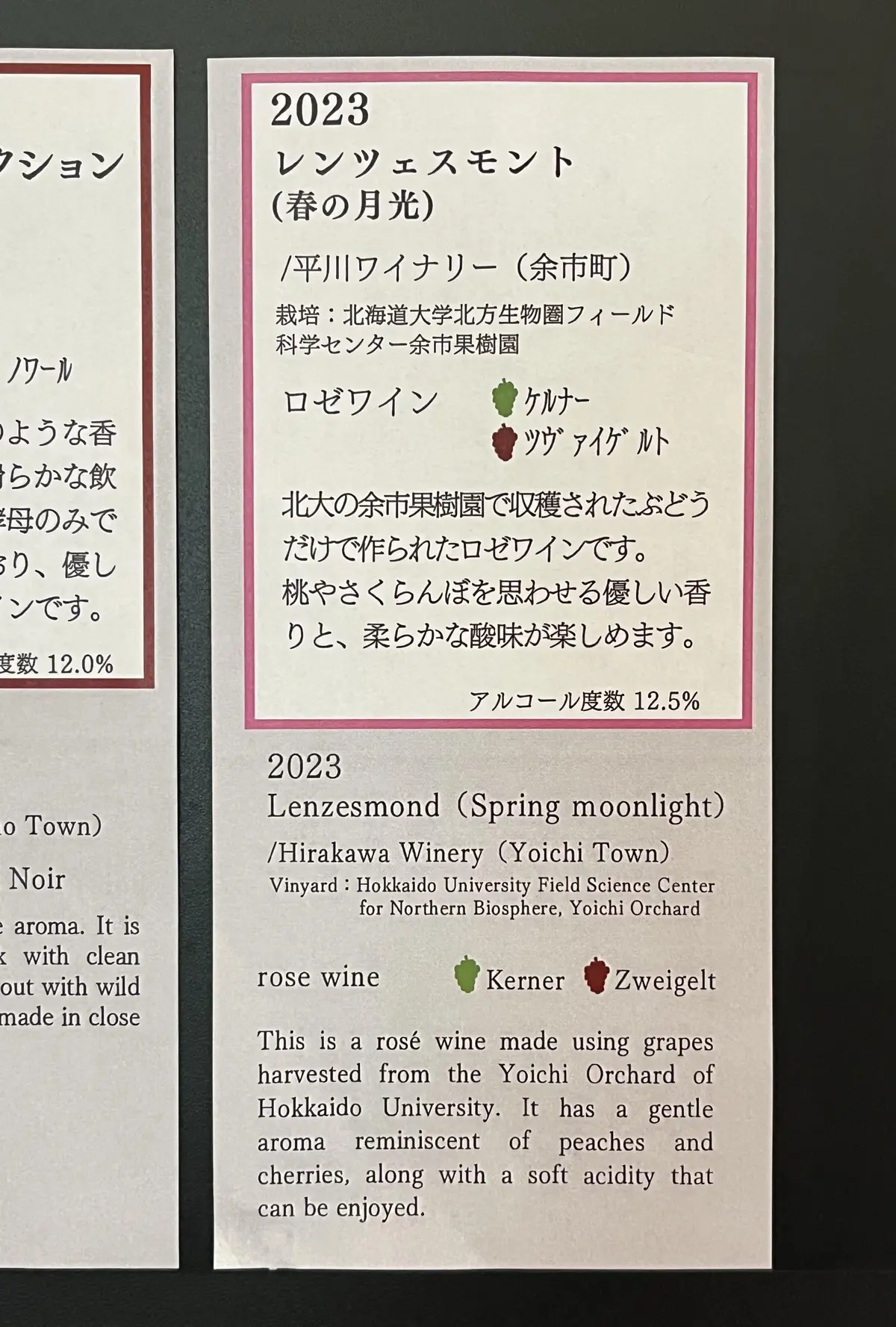 北海道大学でワイン研究！研究施設で道産ワの画像_13