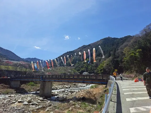 【見頃を迎える花桃の里へ 父と母の思い出の画像_2
