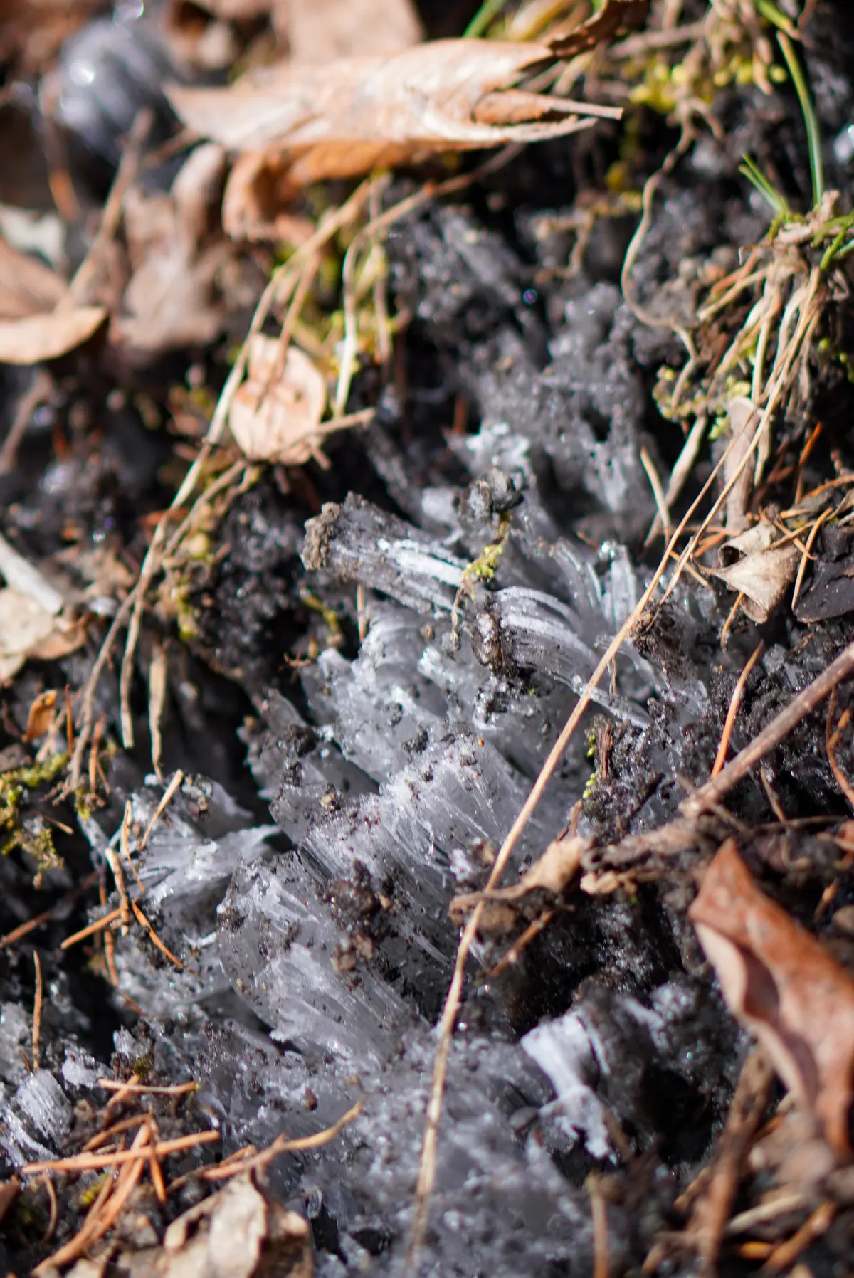 薪ストーブでX’mas クッキングの画像_8