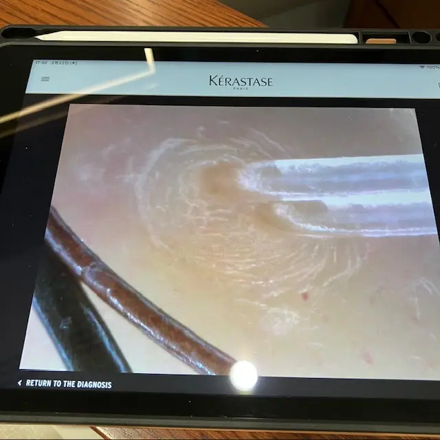 話題の麻布台ヒルズにOPEN！「カキモトの画像_7