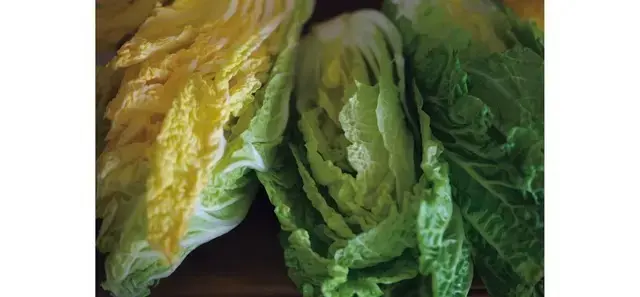 【大人の「絶品鍋」まとめ】毎日でも食べたの画像_19