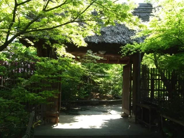 宿のグレード重視のJマダムの旅。宿泊代はの画像_1