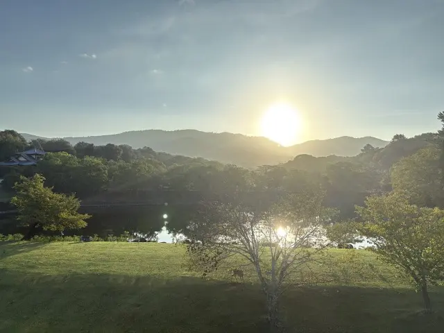 極上の奈良の朝、神秘的な光景。の画像_6