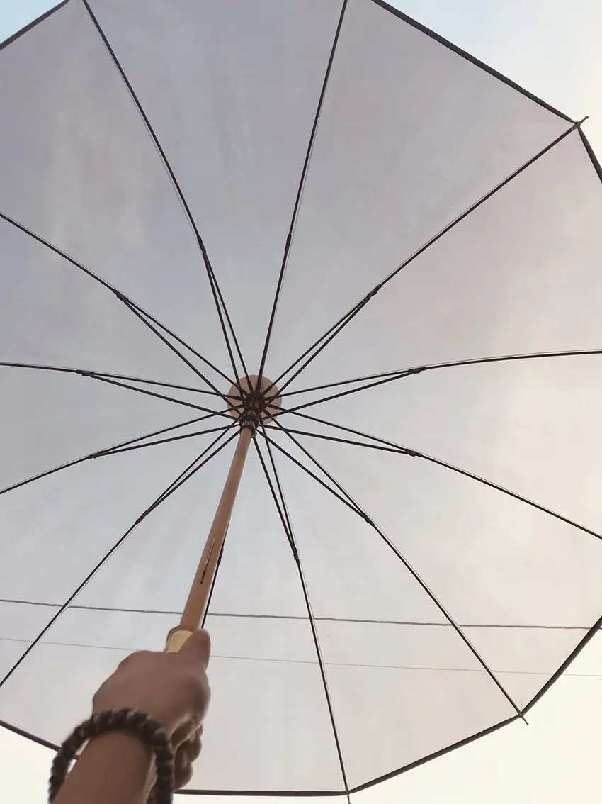 Traditional Weatherwear (トラディショナル ウェザーウェア)のCLEAR UMBRELLA BAMBOOを開いた写真