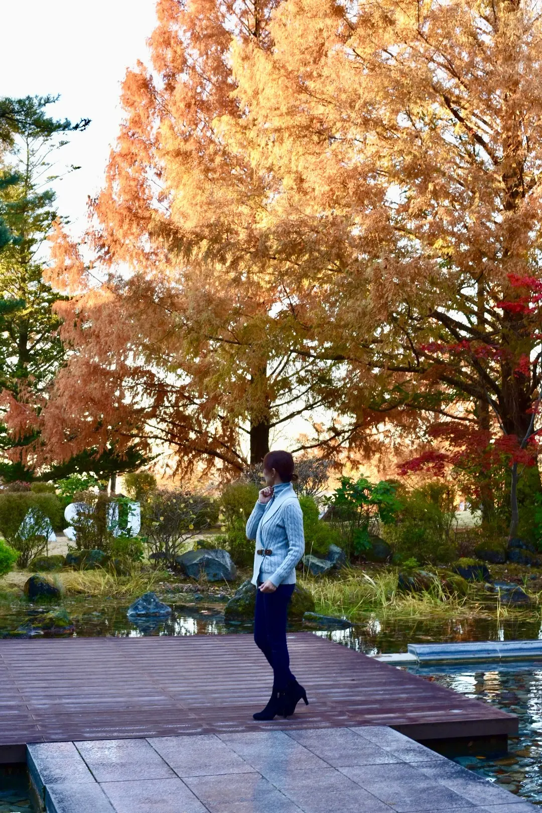 那須高原を東奔西走とおまけに仙台への画像_1