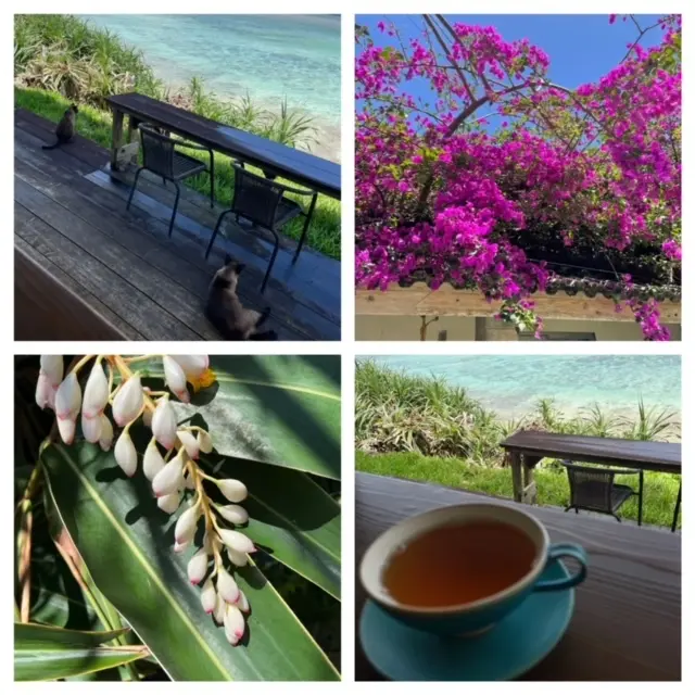 友人たちと沖縄の画像_2