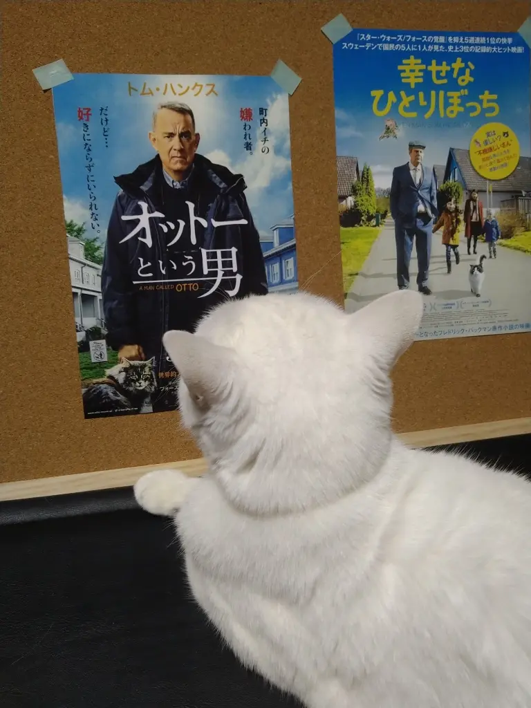 幸せなひとりぼっち＆オットーという男＆ねね