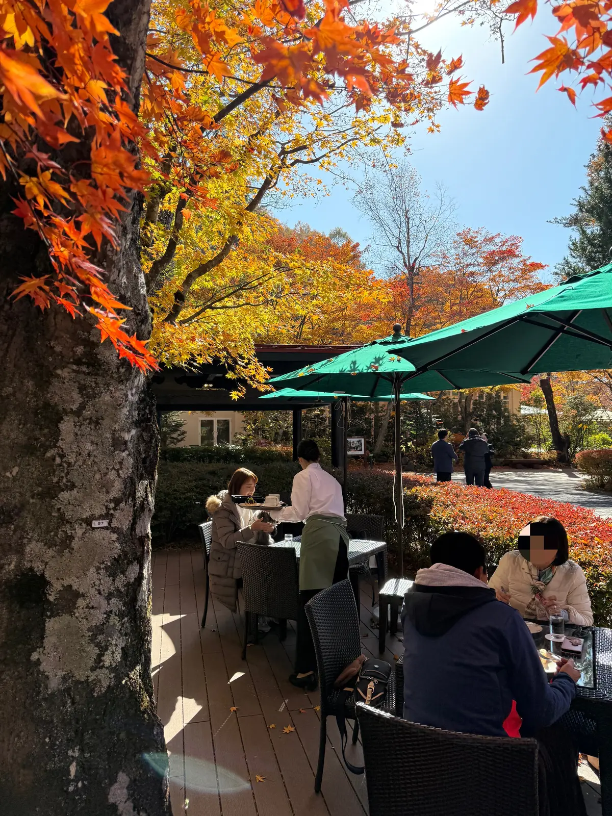 万平ホテル　カフェテラス　紅葉　梅澤千佳子