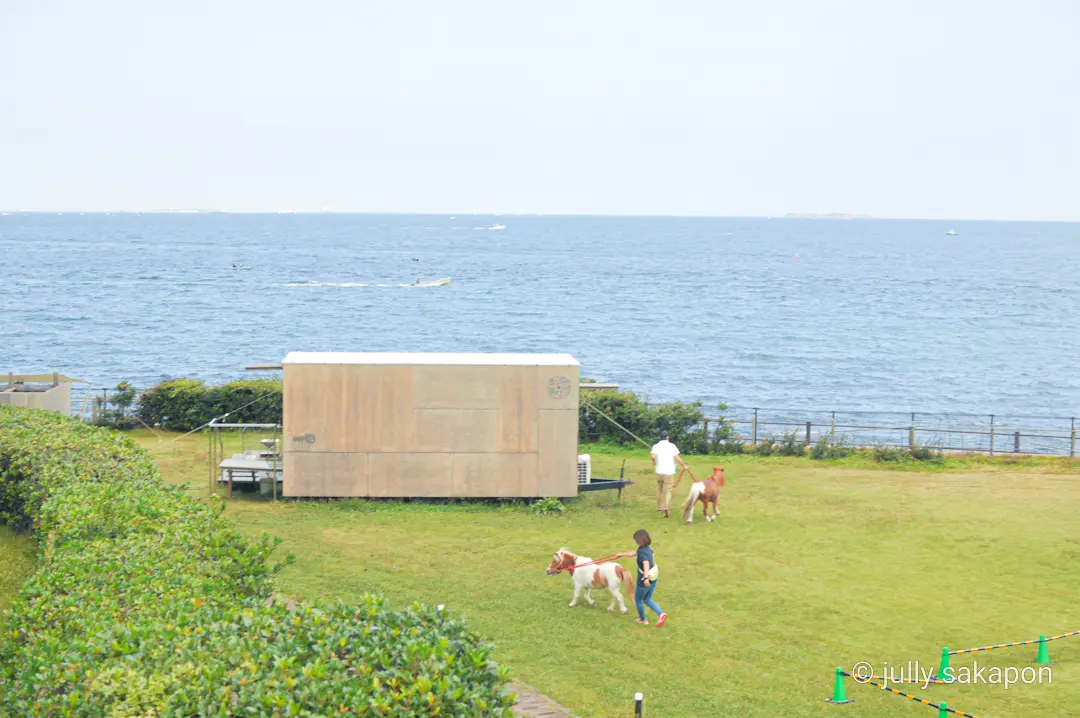【さかぽんの冒険】空と海に癒される横須賀の画像_12