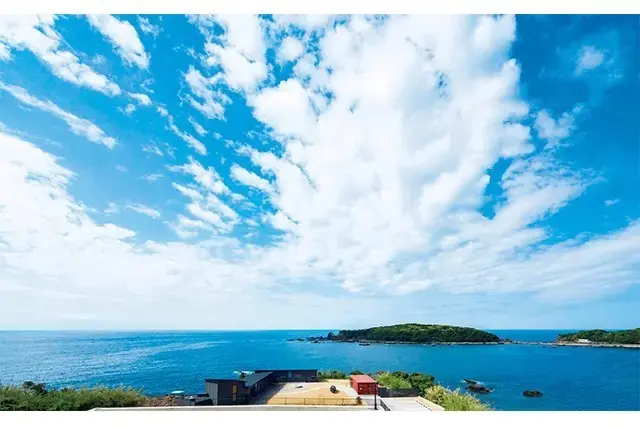 TUZUMI WAKAYAMA SUSAMI