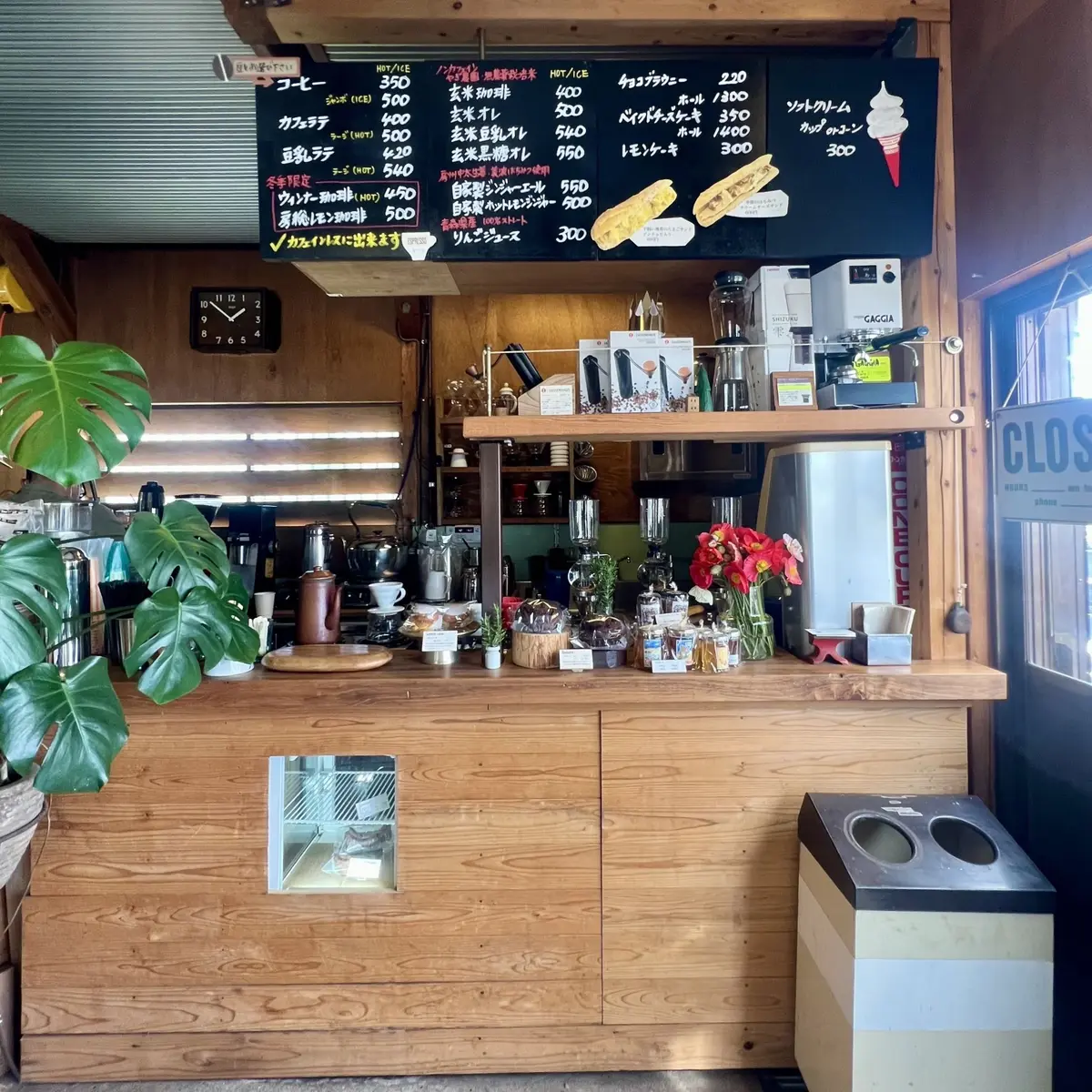 春のお出かけ♪南房総へ花摘みに行ったら最の画像_7