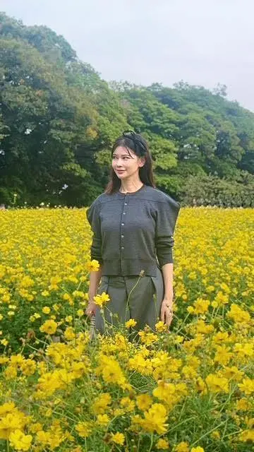 キバナコスモスに包まれて