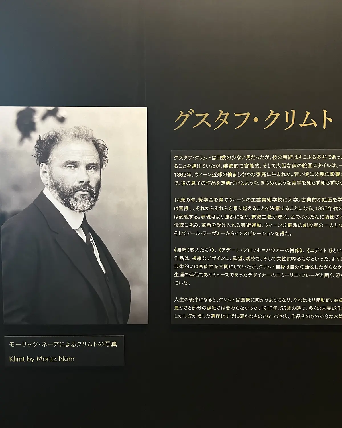 クリムトの没入型展覧会★「クリムト・アラの画像_2