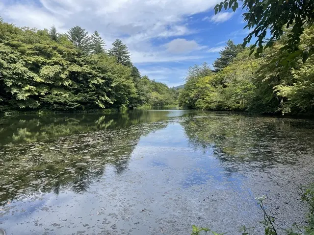 軽井沢　雲場池の全景