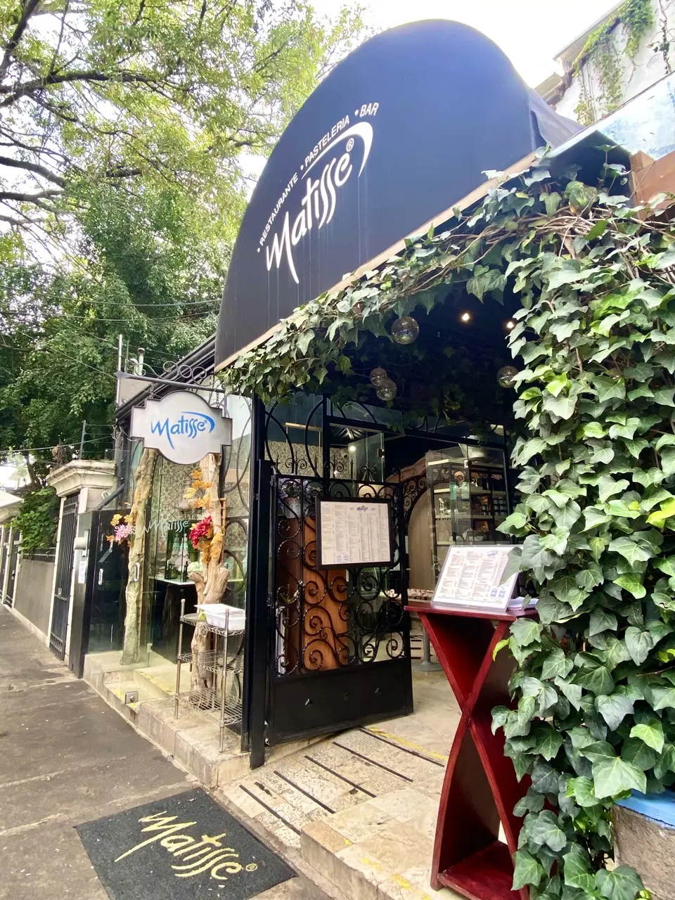 Matisse 入口