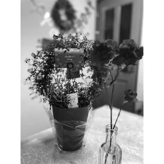 母の日には子供たちからカーネーションの贈り物が。