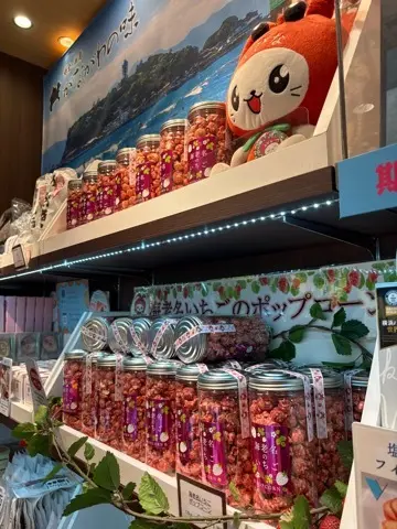 海老名SAを敢えて目的地に〜近場で過ごすの画像_9