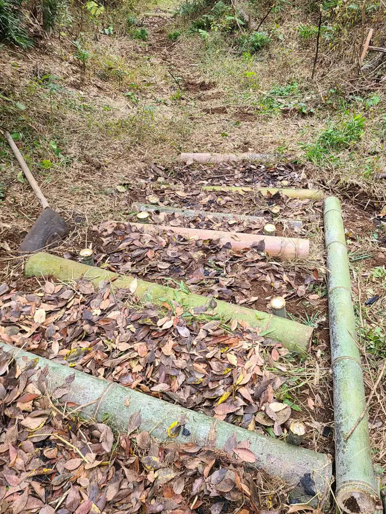 土中環境再生！の画像_2