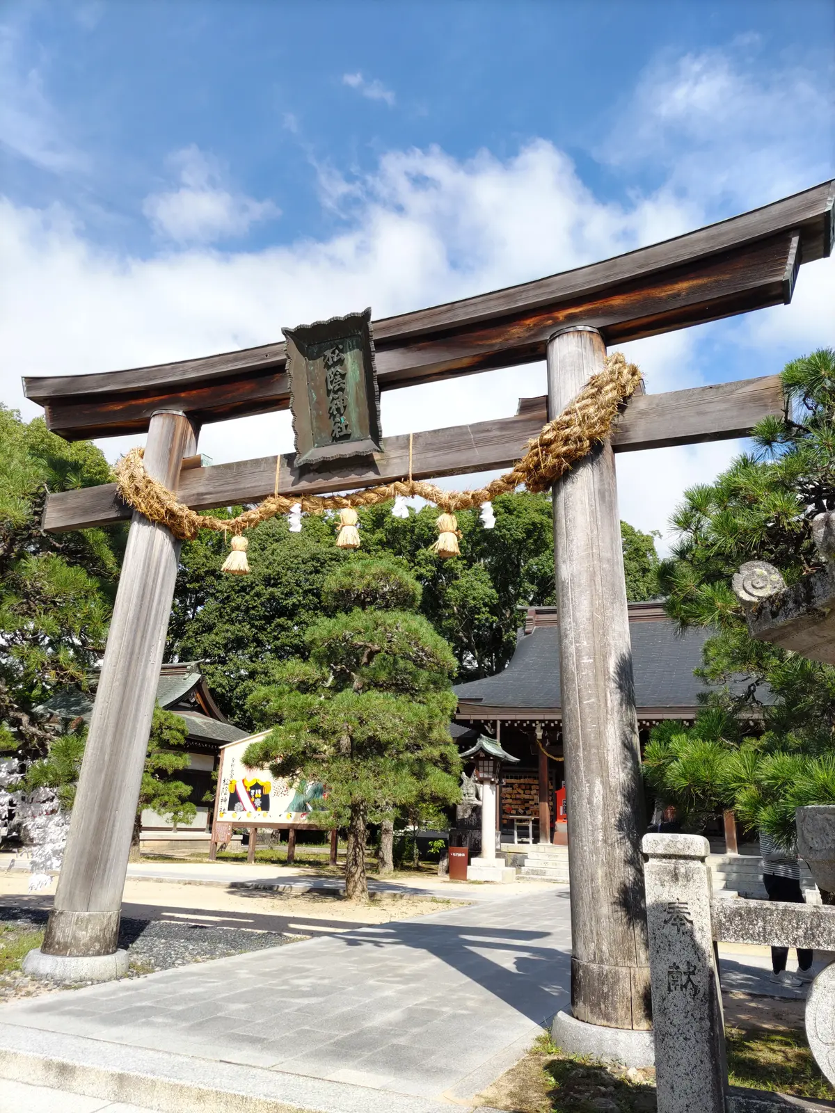 『萩』の画像_3