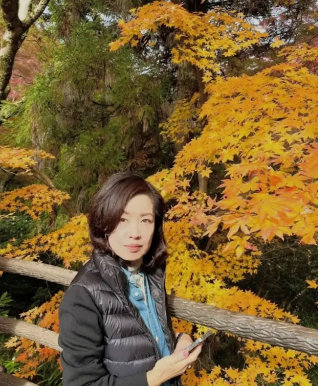 箕面の紅葉　黄金のもみじ