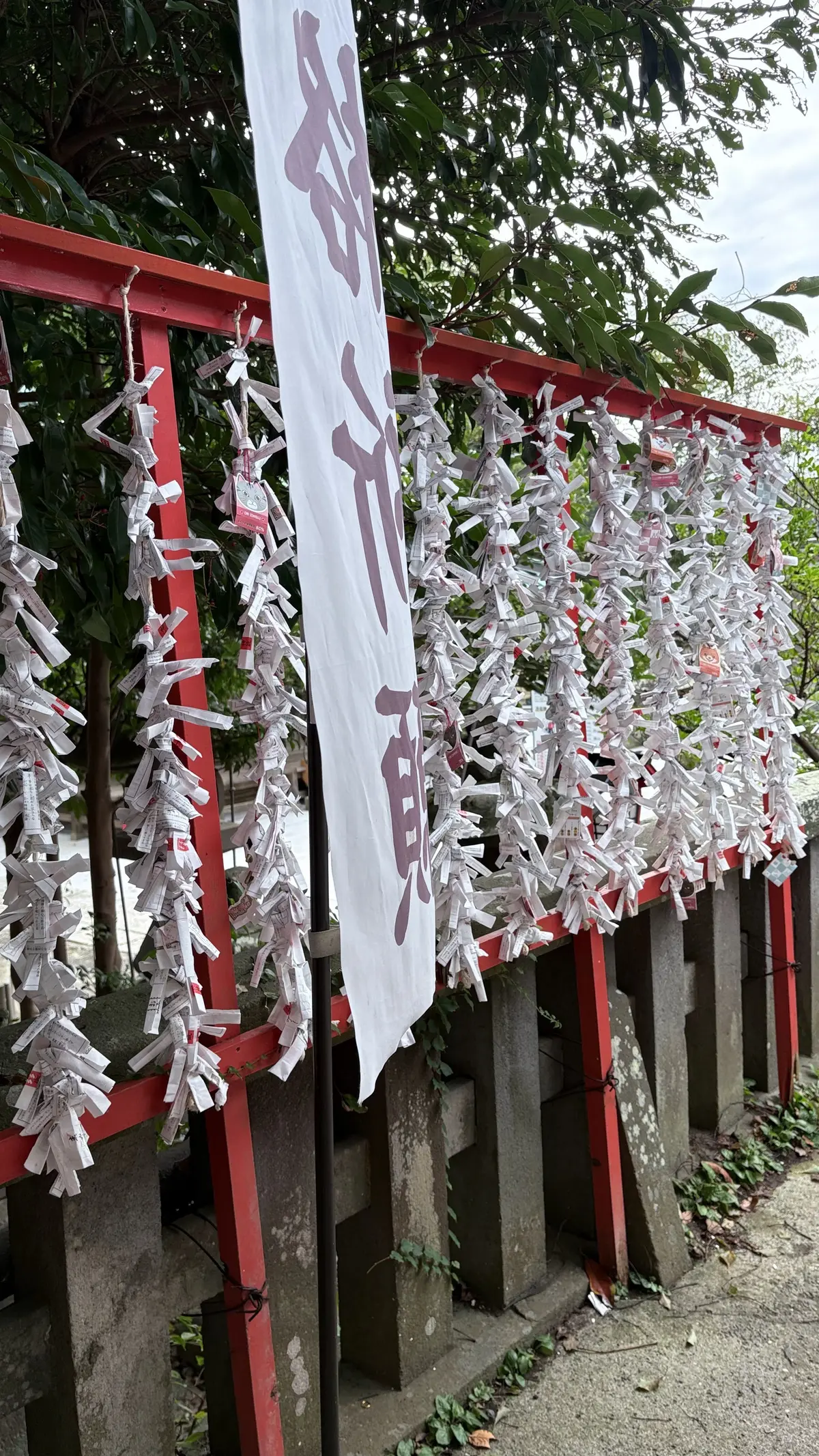 おみくじ　海南神社　三浦市　三崎口　神奈川県