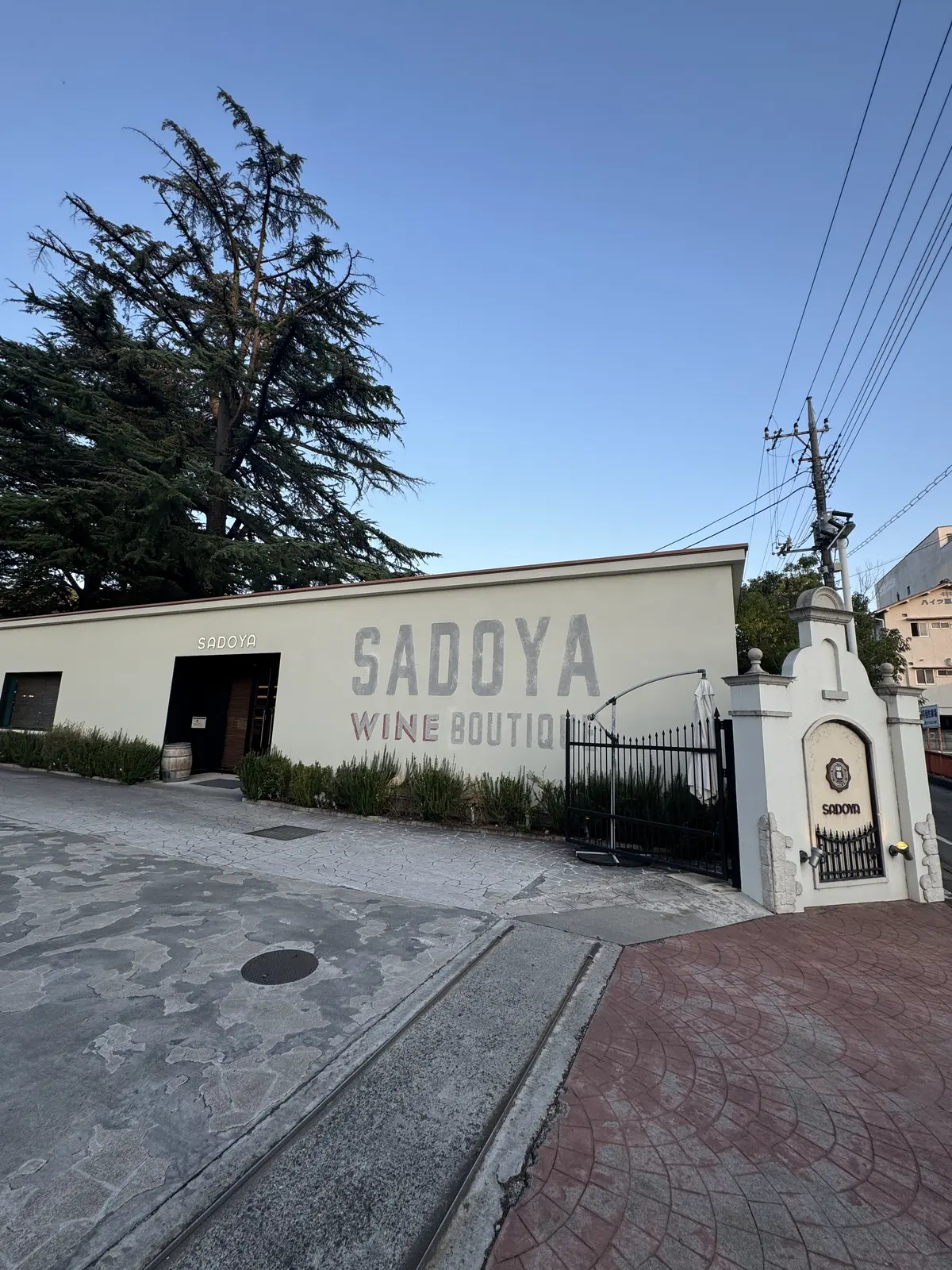 サドヤ　SADOYA