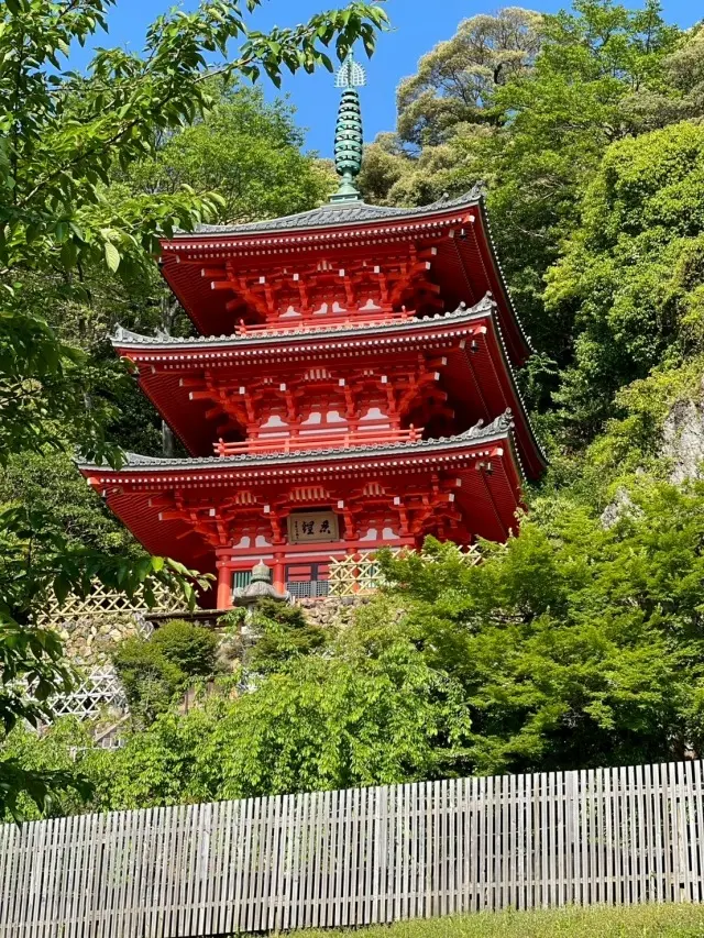 岐阜城楽市と金華山ロープウェーの画像_8